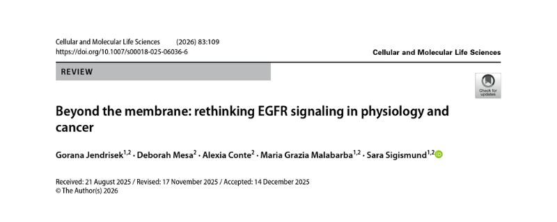 Springer Paper Preview